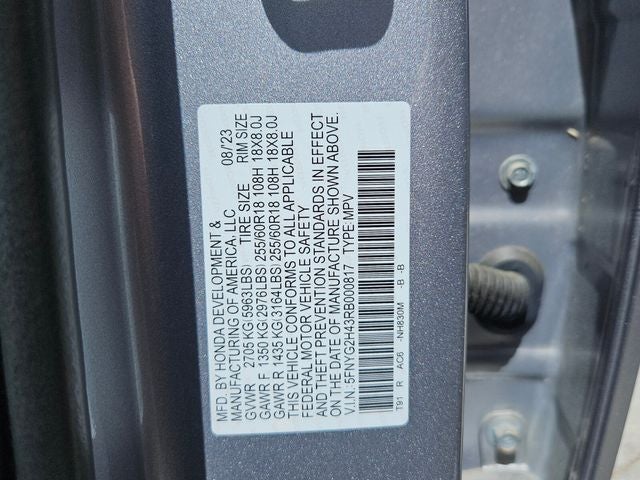 2024 Honda Pilot EX-L 8 Passenger